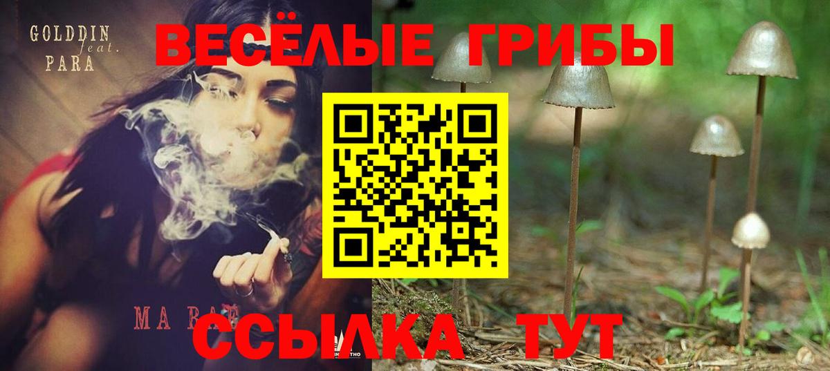 Псилоцибиновые грибы мухоморы  что такое наркотик  Вичуга  Галлюциногенные грибы мицелий  Вход с VPN 